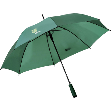 Automatic umbrella